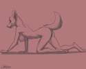 979307_DogBoneArtWork_foxjumpsketch_2.png