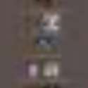 1457856173220.jpg