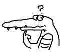 questioncroc.jpg