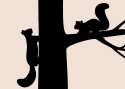 two-squirrel-tree-vector-illustration-silhouette-35427438l.png