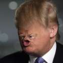 trump1445016447598.jpg