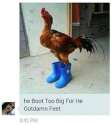 tumblr_inline_nnfnvnHpSl1rgq5g5_400.jpg