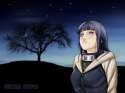 hinata hyuga-228152.jpg