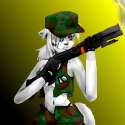 Army Cat.jpg