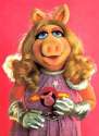 misspiggy.jpg