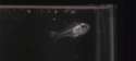 1457330332900.gif