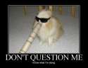 dont-question.jpg