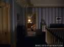 the-shining-bear-o.gif