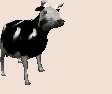 1445233223860.gif