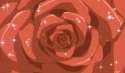 1445128938.gif