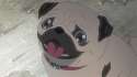 kbHJT6G.gif