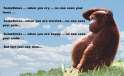 tumblr_ma64zoGu561qcb5fko1_500.jpg