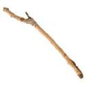 A stick.jpg