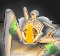 1820482 - Papyrus Undertale.jpg