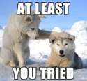 there_there_at_least_you_tried_12120.jpg