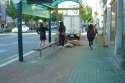 DSC07205.jpg