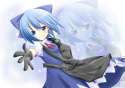 CirnoHandGloveFrogBag.jpg