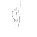 shape.png