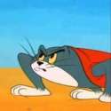 tom.jpg