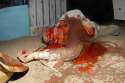 death-bloody-boom-lg.jpg