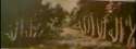 Proof-that-ALLAH-exist-islam-18052687-456-165.jpg