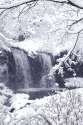 gif_winter.gif