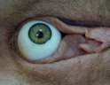 watching_you.jpg