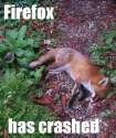 firefoxxxd.jpg
