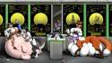 1428679572.squeakie_thelab.jpg