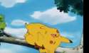 pikalaugh.gif