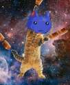 cat1-e1392984698285-616x748.jpg