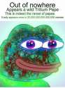 1458000893765.jpg