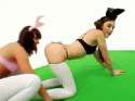 sasha-bunny.gif