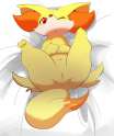 Fennekin7.jpg