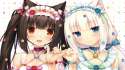 konachan-com-195769-2girls-animal_ears-bell-black_hair-blue_eyes-brown_eyes-catgirl-chocola_sayori-choker-flowers-headdress-nekopara-sayori-scan-white_hair-wristwear.jpg