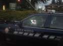 Lakewood police.png