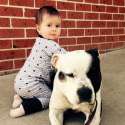 FB_IMG_1454452058449.jpg