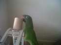 IMG-20140328-00099.jpg