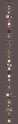 ss01.jpg