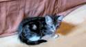 1361007054653.gif