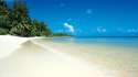 Tropical Beach.jpg