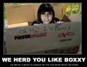 We herd you like Boxxy, So we put a Boxxy in a Boxxy so you can rage while you rage!.jpg