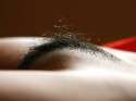 hairy_mons_pubis[1].jpg