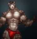 1444492937.pirun_bigtigerdudewithshading.jpg