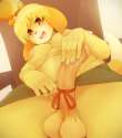 1450827693.sukebepanda_isabelle.jpg