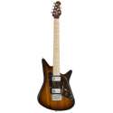albert lee maple.jpg