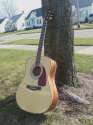 fender_dg100nat.jpg