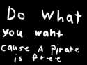 pirate.jpg
