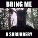 shrubbery.jpg