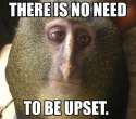 1456168616447.jpg